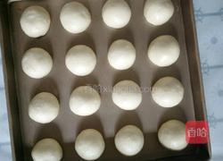 原味小餐包的做法图解6