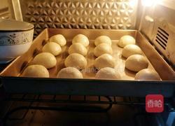 原味小餐包的做法图解7