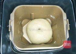 葱香海苔肉松面包的做法图解5