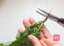 秋季养生小菜萝卜苗小豆腐的做法图解1