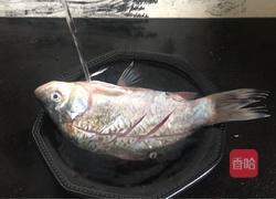 枸杞蒸鲫鱼的做法图解2