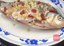 枸杞蒸鲫鱼的做法图解6