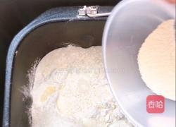 葡萄干卷包的做法图解7