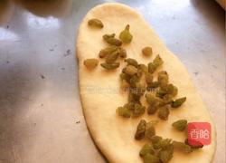 葡萄干卷包的做法图解19