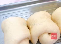 葡萄干卷包的做法图解25