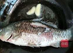 番茄鲫鱼豆腐汤的做法图解5