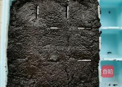 可可粉黑巧克力的做法图解8