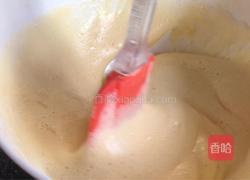 斑馬紋戚風(fēng)蛋糕的做法圖解11