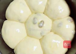 酒酿葡萄干面包的做法图解16