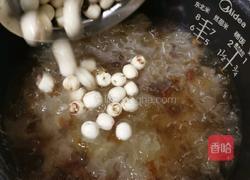 桃胶银耳莲子汤的做法图解9