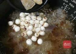 桃胶银耳莲子汤的做法图解10