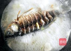 鲫鱼豆腐汤的做法图解10