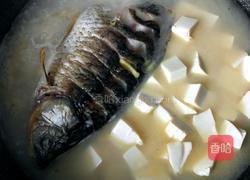 鲫鱼豆腐汤的做法图解11