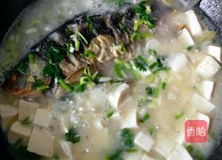 鲫鱼豆腐汤的做法图解14