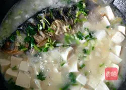 鲫鱼豆腐汤的做法图解14