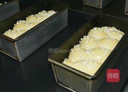 布里欧土司的做法图解6