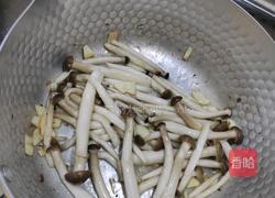 番茄白玉汤的做法图解5