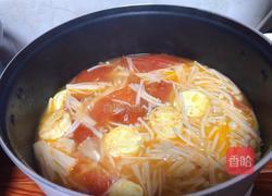 番茄金针菇豆腐汤的做法图解4