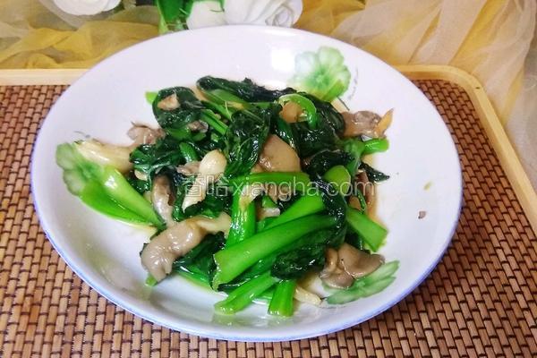 青菜炒平菇