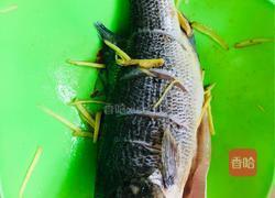 清蒸鲈鱼的做法图解2