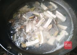 花蛤豆腐汤的做法图解6