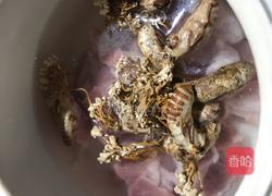 金蝉花炖健子肉（3人份）的做法图解4