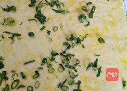 葱花卷的做法图解4
