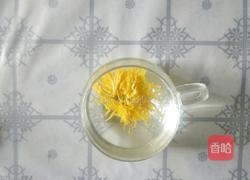 椴树蜜金丝皇菊茶的做法图解4