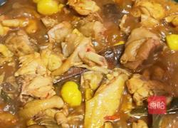 板栗烧鸡的做法图解10