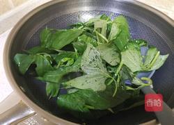 炒红薯叶的做法图解4