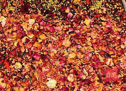 玫瑰桂花阿胶糕的做法图解12