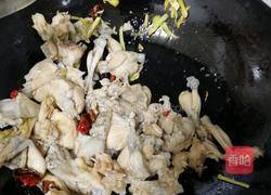 干锅田鸡的做法图解6