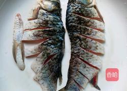 鲫鱼炖蛋的做法图解2