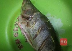 红烧桂鱼的做法图解1