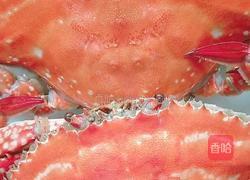 芙蓉蟹斗的做法图解2