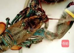 波士顿龙虾三吃的做法图解1