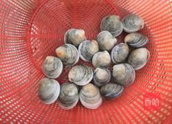 鲜蛤冬瓜汤的做法图解11