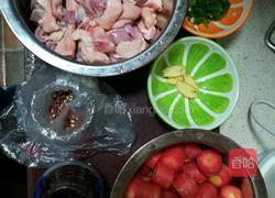 红烧鹅肉的做法图解1