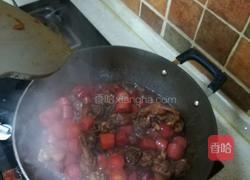 红烧鹅肉的做法图解9