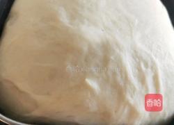 披萨(水果加火腿鲜虾）的做法图解2