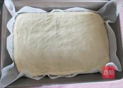 披萨(水果加火腿鲜虾）的做法图解3