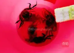 Illustration of how to steam crabs 3