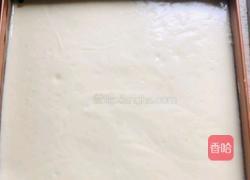 蔓越莓虎纹蛋糕卷的做法图解8