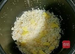 干贝鸡肉板栗粥的做法图解10