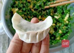 韭菜虾皮鸡蛋水饺的做法图解11