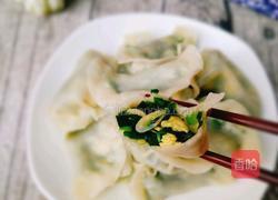 韭菜虾皮鸡蛋水饺的做法图解15