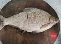 红烧武昌鱼的做法图解2