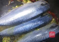 红烧鲅鱼的做法图解3