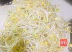 豆豉鲮鱼炒黄豆芽的做法图解1