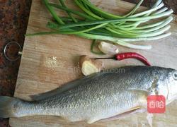 红烧黄花鱼的做法图解1